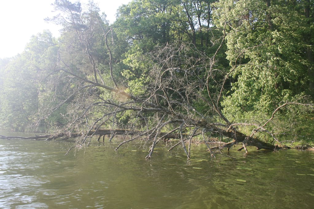 Mazurskie domy wypoczynek nad mazurskimi jeziorami Mazury 01